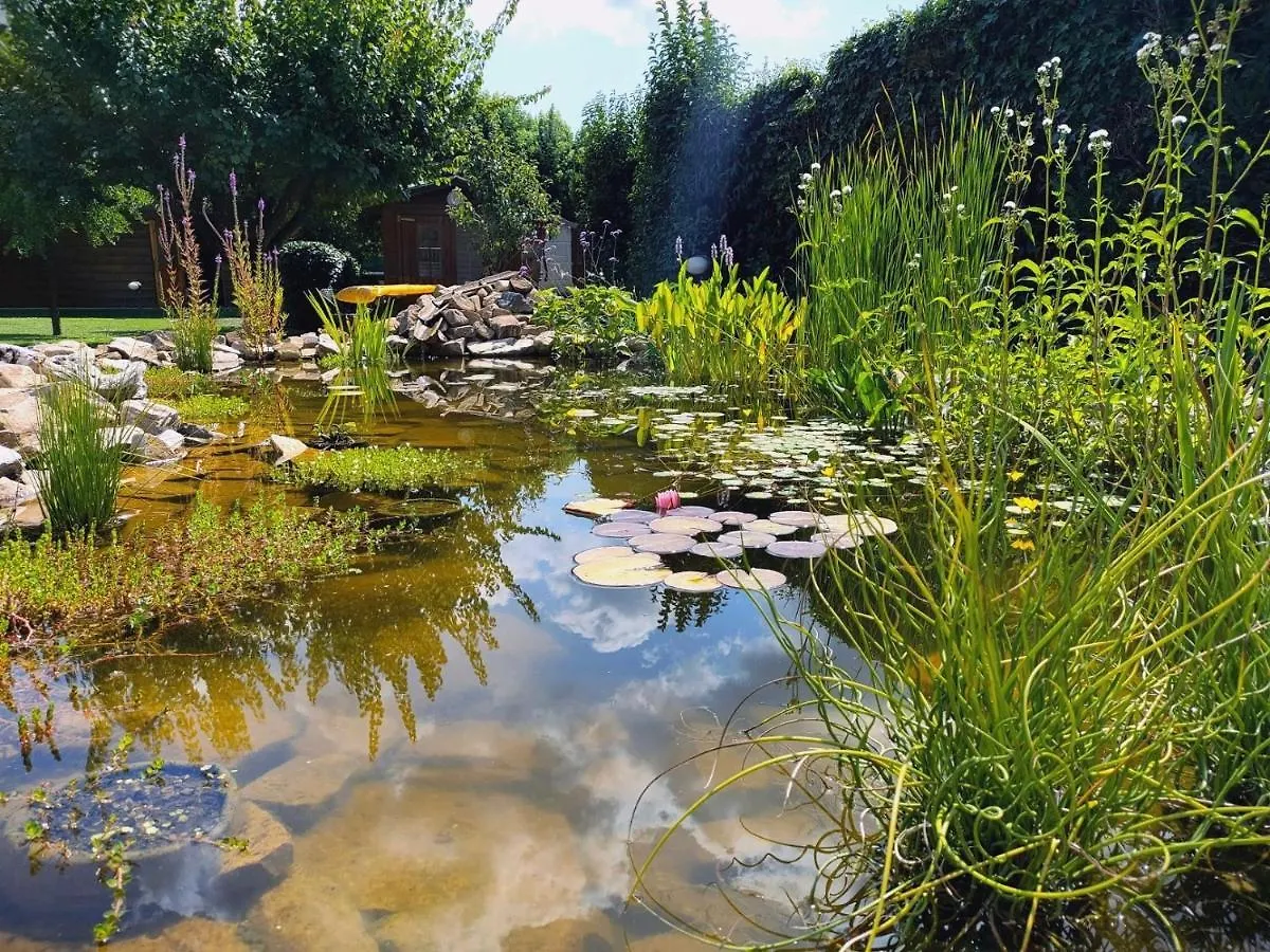 Tuscan Villa Exclusive Use Of Private Pool A/C Wifi Villa Briciola Capannori