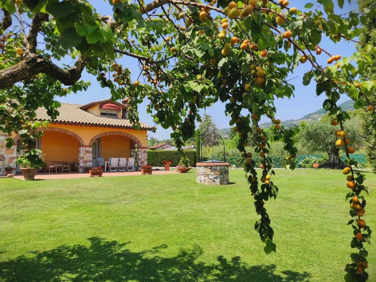 Tuscan Villa Exclusive Use Of Private Pool A/C Wifi Villa Briciola Capannori 0*,  Italy