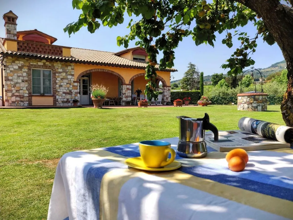 Tuscan Villa Exclusive Use Of Private Pool A/C Wifi Villa Briciola Capannori 0*,  Italy