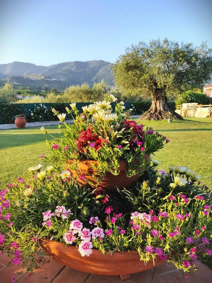 Tuscan Villa Exclusive Use Of Private Pool A/C Wifi Villa Briciola Capannori